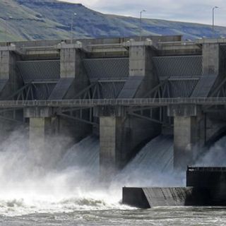 Feds Reject Calls To Remove 4 Snake River Dams, A Plan Aimed At Saving Salmon