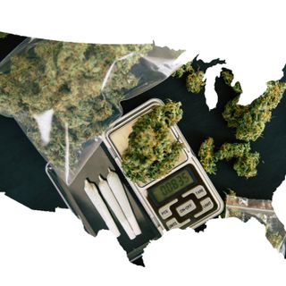 Where Is Marijuana Legalized?