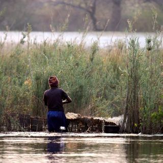 Alarm as exploratory drilling for oil begins in northern Namibia