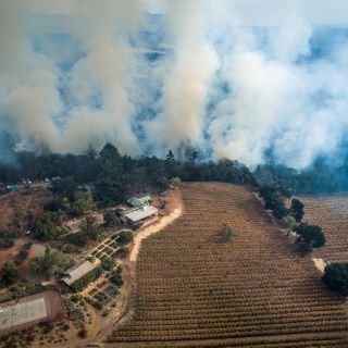 California must burn more of its forests to save them. Is the public ready?