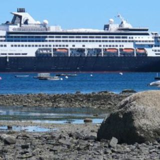 Bar Harbor cancels all cruise ship visits until July 1