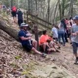 Thousands of hikers crowd Georgia trails as surrounding states close parks