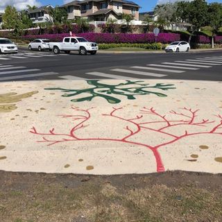 Community, organizations partner to create ‘limu art’ at busy Ewa Beach intersection