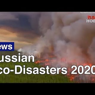 Russia’s Environmental Disasters in 2020 - The Moscow Times