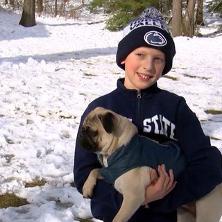 5th-grader’s school project turns into mission to help dogs around the world