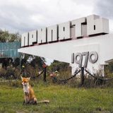 Chernobyl &lsquo;Exclusion Zone&rsquo; Radiation Doses Reanalyzed