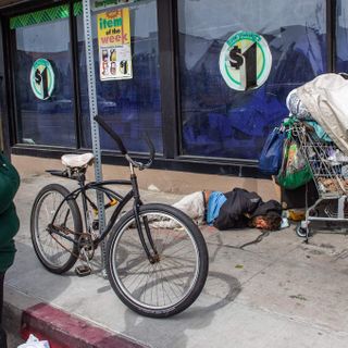 The Progressive Destruction of Venice Beach, Proxy for the Nation