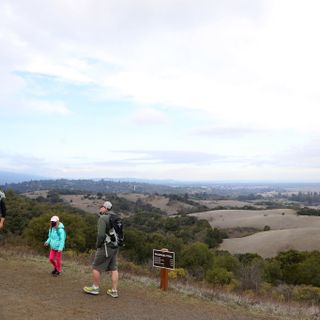 Palo Alto: Hundreds from around the region flooding into once-exclusive Foothills Park