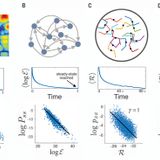 Low rattling: A predictive principle for self-organization in active collectives