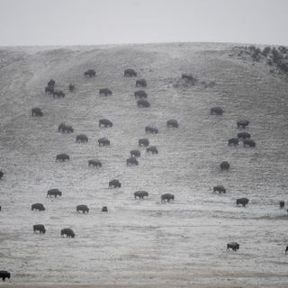 A border war? Wyoming considers massive land, mineral rights purchase from oil company, which would spill over into Colorado