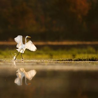 A third of rivers in US found to be changing from blue to green and yellow