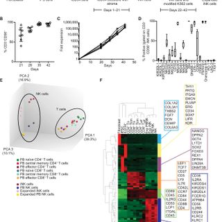 iPSC-derived NK cells maintain high cytotoxicity and enhance in vivo tumor control in concert with T cells and anti–PD-1 therapy