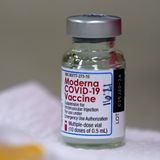 EU commission greenlights Moderna's COVID-19 vaccine