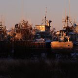 Thousands of fishery workers, many from outside Alaska, are headed to Bristol Bay. One tiny hospital says its coronavirus plan can’t handle them.