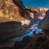 In the Grand Canyon, Scientists Struggle to Bring Back the Bugs