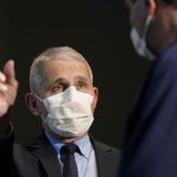 Dr Fauci wants Americans to wear masks for 'at least' 100 days into Joe Biden presidency