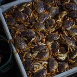 Fresh Dungeness crab finally on its way to Bay Area after fleets, wholesalers reach agreement