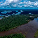 Coronavirus fears grow for Brazil's indigenous groups