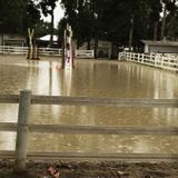 Show and Boarding Cancelations At Del Mar Horsepark Spark Fears It Could Permanently Close