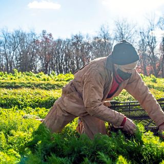 Wanted: A farmer. Successful organic farm in western Pa. is closing because no one wants to run it