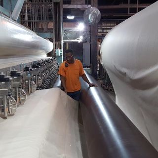 Toilet paper makers: 'What we are dealing with here is uncharted'