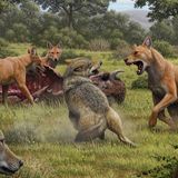 Dire Wolves Were Not Really Wolves, New Genetic Clues Reveal