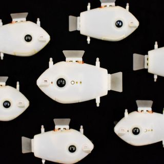 Adorable Fish Bots Get Schooled in How to Swarm