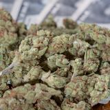 Colorado’s Record-Breaking Marijuana Sales Top $2 Billion In 2020