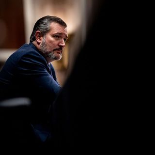 Ted Cruz’s Former Staffers Are ‘Disgusted’ by His New Low for Trump