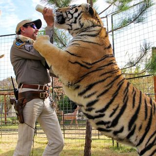 Lagoon denies connection to Joe Exotic, ‘Tiger King’ documentary