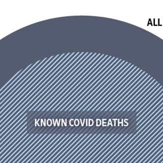 The Covid-19 Death Toll Is Even Worse Than It Looks