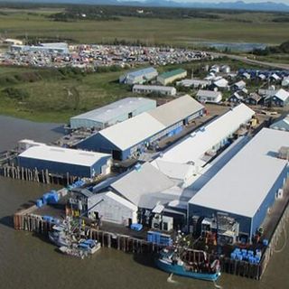 Struggling Southwest Alaska seafood processor hopes to come back stronger under new ownership - Alaska Public Media