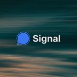 Signal down after getting flooded with new users