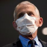 Fauci says U.S. will likely return to 'some degree of normality' at same time as Canada