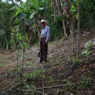 Climate change is devastating Central America, driving migrants to the U.S. border