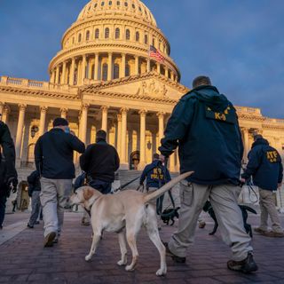 12 Guard members, some with ties to right-wing militia groups removed from Biden inauguration