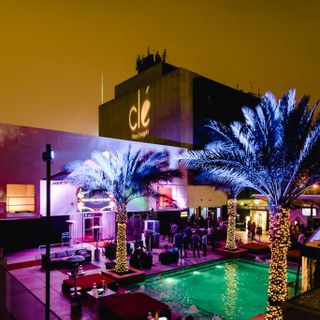 Nightclubs Spire and Clé among Houston liquor permits suspended by TABC for COVID violations