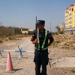 Opinion | Genocide in Xinjiang