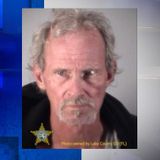 Florida man accused of trying to steal horses, riding them home, deputies say