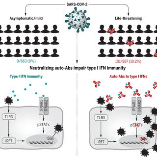 Autoantibodies against type I IFNs in patients with life-threatening COVID-19