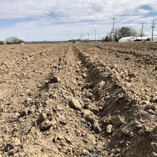 Stumbling Toward Spring: Northwest Growers Scramble To Start During Coronavirus Crisis