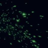 Video of flying neon spit shows how speaking could spread coronavirus