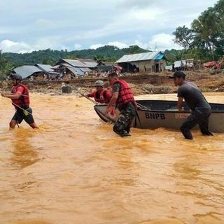 Plantations, mines didn’t worsen flood, Indonesia says. The data begs to differ