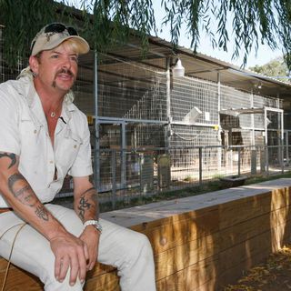 Inside the stretch limo where ‘Tiger King’ star Joe Exotic’s team waited for a pardon that never came