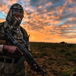 The Modern-Day Bounty Hunters of South Africa: A Brutal Fight against Poaching