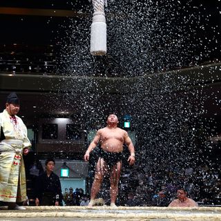 How the pandemic lifted the lid on the ‘Darwinian world’ of Japan’s sumo