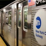 Dog struck and killed by NYC train while running around on subway tracks
