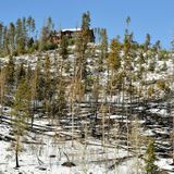 "We need to act": Colorado forests primed for megafires without large-scale action, federal managers warn