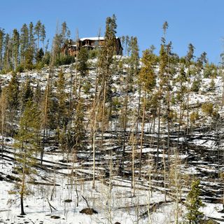 "We need to act": Colorado forests primed for megafires without large-scale action, federal managers warn