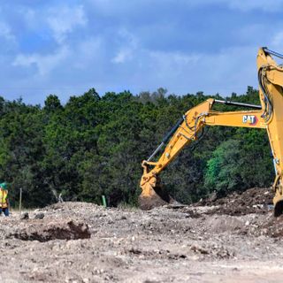 ‘Everything was there and then it wasn’t’: Developers allowed to skirt tree ordinance